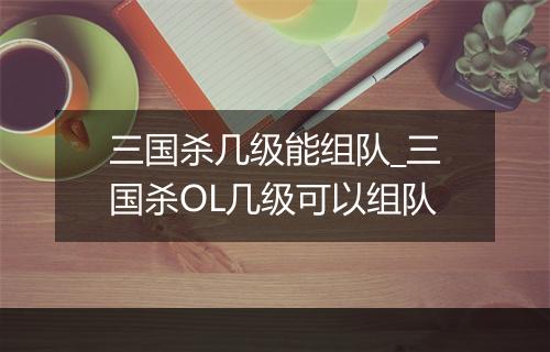 三国杀几级能组队_三国杀OL几级可以组队