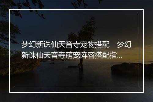 梦幻新诛仙天音寺宠物搭配　梦幻新诛仙天音寺萌宠阵容搭配指南