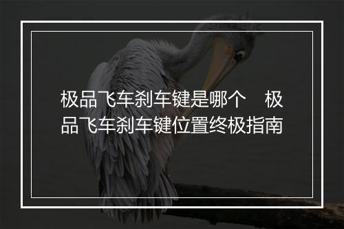极品飞车刹车键是哪个　极品飞车刹车键位置终极指南