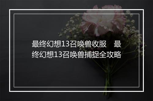 最终幻想13召唤兽收服　最终幻想13召唤兽捕捉全攻略